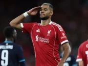 Manchester City Buru Gakpo, Liverpool Tuntut Harga Rp1,82 Triliun