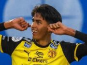 Markus Pall Ellertsson, Top Skor Liga Islandia, Berpeluang Gabung Timnas Indonesia
