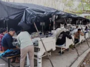 Pasien Dirawat di Tenda Darurat Usai Gempa M 7,7 di Flores