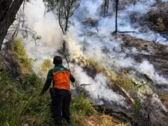Pemadaman Karhutla Terus Berlanjut di Taman Nasional Bromo