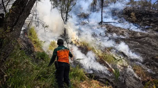 Pemadaman-Karhutla-Terus-Berlanjut-di-Taman-Nasional-Bromo