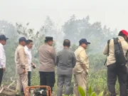 Pemerintah Kerahkan 1.500 TNI dan 6 Helikopter Padamkan Karhutla di Kalbar