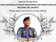 Petugas Damkar Gugur Saat Tangani Kebakaran Sampah di Kramat Jati