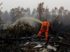 Pikap Terobos Gerbang DPR, Sopir Ditemukan dalam Kondisi Mabuk