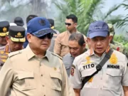 Presiden Prabowo Minta Revisi Aturan Pembukaan Lahan dan Penambahan Alat Berat