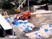 Ribuan Cumi Tumpah di Jalan Rhode Island, AS