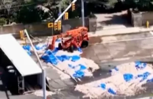 Ribuan Cumi Tumpah di Jalan Rhode Island, AS