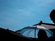 Tiga Singa Tewas Akibat Serangan Panas Ekstrem di Kebun Binatang Tokyo