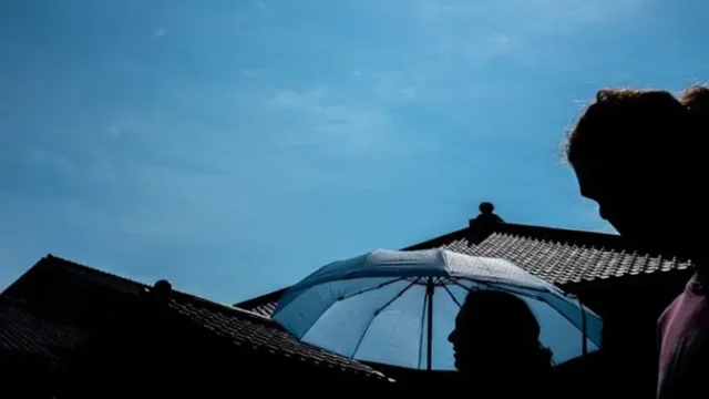 Tiga-Singa-Tewas-Akibat-Serangan-Panas-Ekstrem-di-Kebun-Binatang-Tokyo
