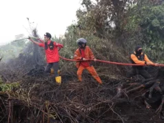 Titik Panas Kebakaran Hutan di Kalimantan Melonjak Empat Kali Lipat dalam Sehari
