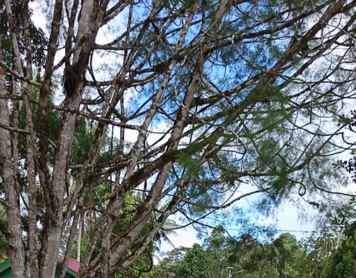 Hangatkan Kebersamaan, Dansatgas TMMD Ke-129 Kodim 1807/Sorong Selatan Berbagi Keceriaan Bersama Anak-Anak Kampung Sesor