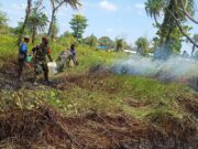 TNI Kerahkan 14.167 Personel Tangani Karhutla di Sejumlah Wilayah