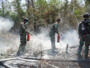 TNI Percepat Penanganan Karhutla Way Kambas, Tim Alfa Diterjunkan dari Udara
