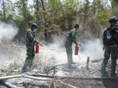 TNI Percepat Penanganan Karhutla Way Kambas, Tim Alfa Diterjunkan dari Udara
