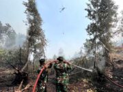 Padamkan Bara di Balik Gambut, Satgas Darat Lanud Sjamsudin Noor Jaga Permukiman Dari Ancaman Karhutla