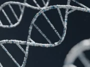 166 Tahun Setelah Hilang, Identitas Empat Awak Ekspedisi Franklin Terungkap Lewat DNA