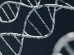 166 Tahun Setelah Hilang, Identitas Empat Awak Ekspedisi Franklin Terungkap Lewat DNA