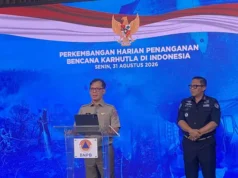 BNPB Tabur 5,6 Ton Garam untuk Picu Hujan di Area Karhutla