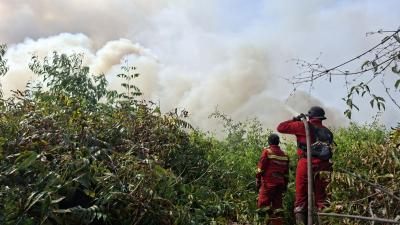 DPR Minta Pemerintah Tetapkan KLB Karhutla Akibat Lonjakan Kasus ISPA