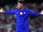 Enzo Fernandez Ucapkan Duka dan Cinta Terakhir untuk Chelsea