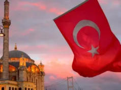 Fosil Siput 66 Juta Tahun Ditemukan di Situs Arkeologi Ankara