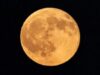 Harvest Moon Terlihat Jelas di Langit Indonesia, BMKG Peringatkan Potensi Pasang Purnama