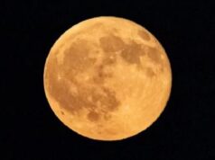 Harvest Moon Terlihat Jelas di Langit Indonesia, BMKG Peringatkan Potensi Pasang Purnama