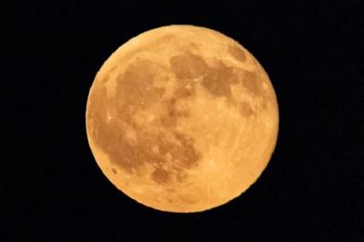 Harvest-Moon-Terlihat-Jelas-di-Langit-Indonesia-BMKG-Peringatkan-Potensi-Pasang-Purnama