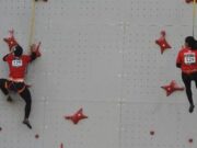 Indonesia Raih Emas Pertama di Mixed Relay Speed Climbing