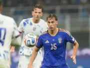 Italia vs Belgia: Rekonstruksi Dua Tim di Era Baru di Stadio Olimpico