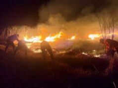 Karhutla Bromo Meluas ke Bukit Teletubbies, Empat Jalur Wisata Ditutup