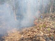 Karhutla Meluas di Lima Daerah, Minahasa Utara Paling Parah