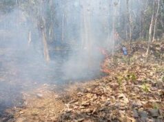 Karhutla Meluas di Lima Daerah, Minahasa Utara Paling Parah