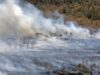 Kawasan IKN Terbakar, 458 Hektare Lahan Hangus