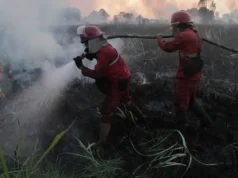 Kebakaran Hutan Meluas di Kalimantan dan Sumatera, BNPB Gerakkan Ribuan Personel