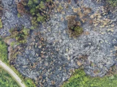 Kebakaran Hutan di Kalbar Capai 48.536 Hektare, Helikopter Jepang Belum Bisa Operasi
