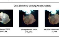 Luas Gunung Anak Krakatau Bertambah 32,8 Hektare Usai Erupsi Menerus