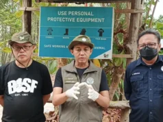 Menhut Imbau Waspada Kebakaran Hutan Meski Titik Panas Turun
