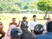 Perdagangan Karbon Kehutanan Resmi Libatkan Masyarakat, Bujang Raba Jadi Pilot Project