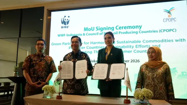 Petani-Sawit-Swadaya-Dapat-Dukungan-Rantai-Pasok-Berkelanjutan