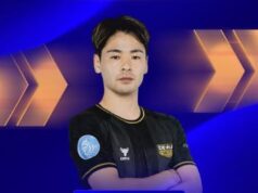 Tiga Pemain Asing di Liga Indonesia Sedang Proses Naturalisasi Jadi WNI