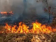 Warga Diminta Hindari Aktivitas Pemicu Kebakaran Hutan
