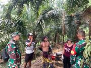 TNI Perkuat Penanganan Karhutla di Melawi, Salurkan Peralatan Pemadam kepada Masyarakat