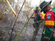 Penanganan Karhutla di Wilayah Kalbar Terus Membaik, Titik Api Turun