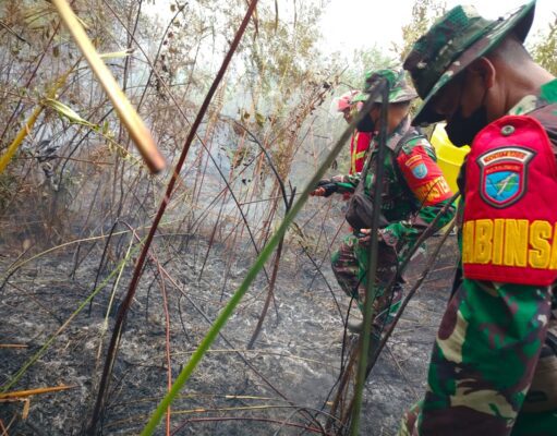 Penanganan Karhutla di Wilayah Kalbar Terus Membaik, Titik Api Turun