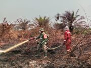 Penanganan Karhutla Sektor Selatan Kalbar Diperkuat, TNI Alihkan Perkuatan Pasukan