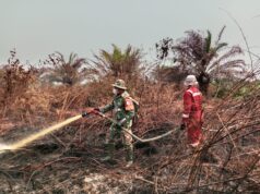 Penanganan Karhutla Sektor Selatan Kalbar Diperkuat, TNI Alihkan Perkuatan Pasukan