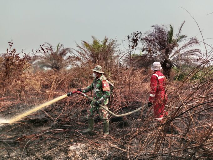 Penanganan Karhutla Sektor Selatan Kalbar Diperkuat, TNI Alihkan Perkuatan Pasukan