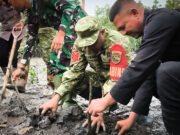 Jaga Kelestarian Lingkungan, Kodim 1710/Mimika Tanam Mangrove Sambut HUT ke-81 TNI