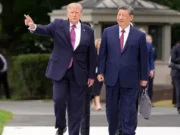 Xi
